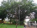 w.pantanal.br.ms-165