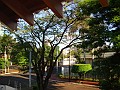 w.pantanal.br.ms-93