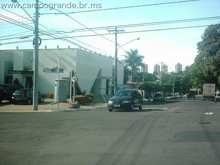 w.pantanal.br.ms-11.jpg