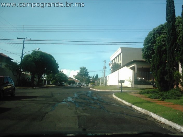 w.pantanal.br.ms-13.jpg