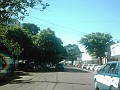 w.pantanal.br.ms-56