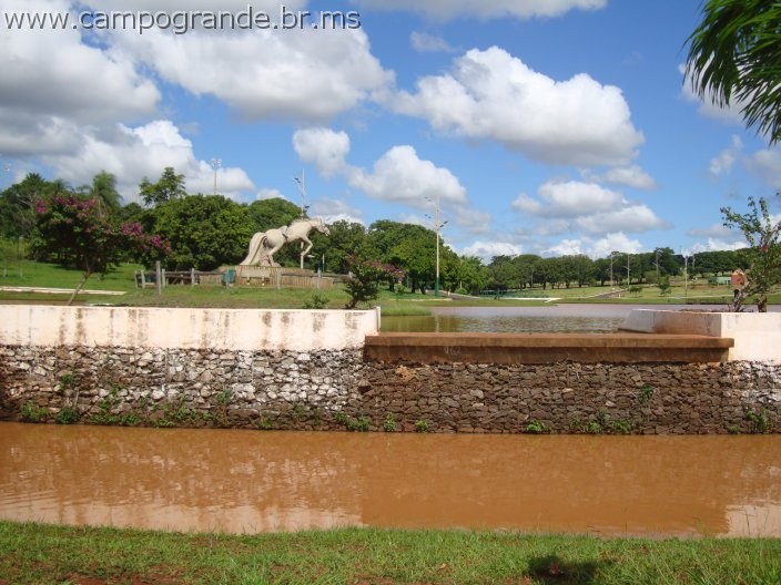 w.pantanal.br.ms-09.jpg