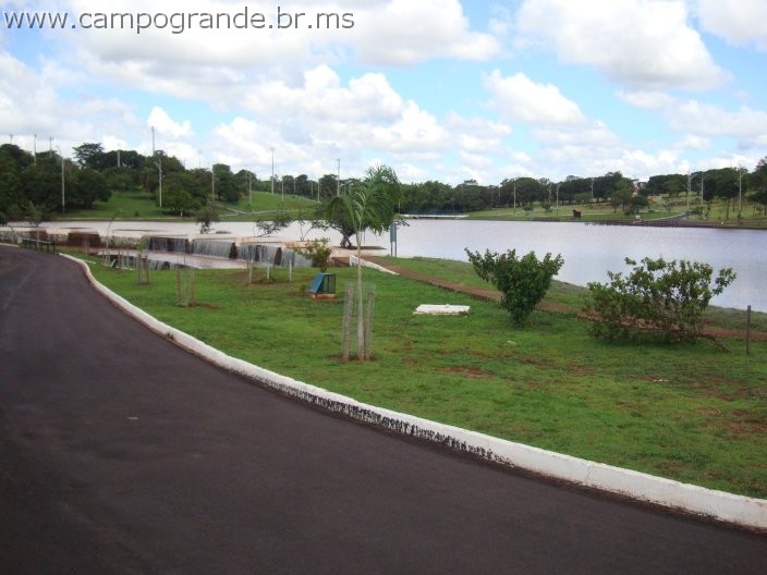 w.pantanal.br.ms-14.jpg