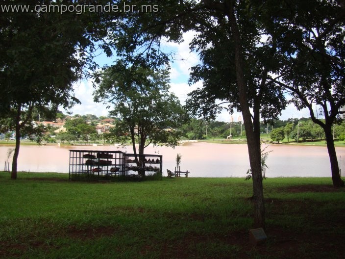 w.pantanal.br.ms-19.jpg