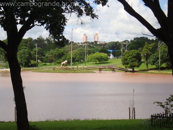 w.pantanal.br.ms-20.jpg