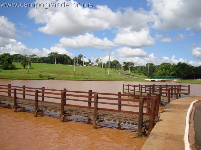 w.pantanal.br.ms-24.jpg
