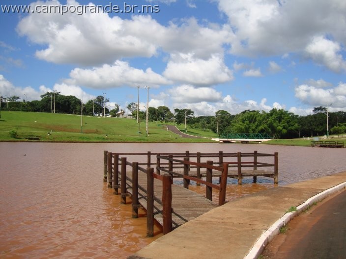 w.pantanal.br.ms-25.jpg