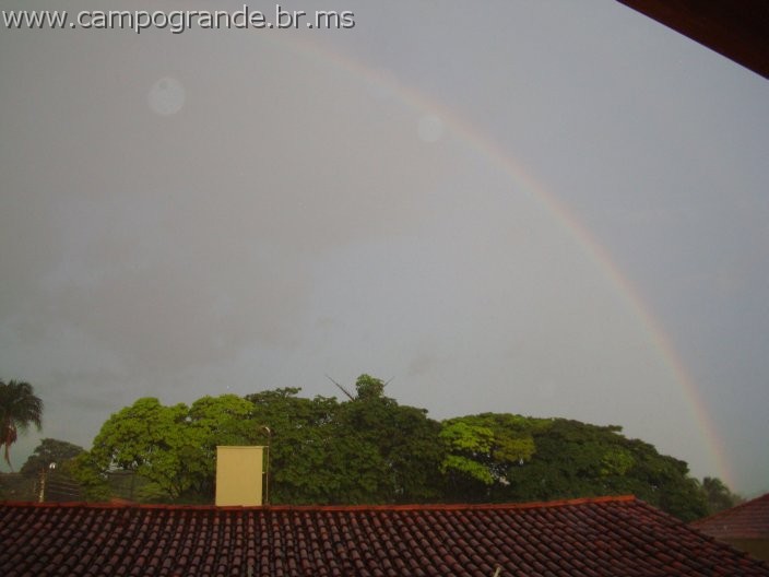 w.pantanal.br.ms-43.jpg