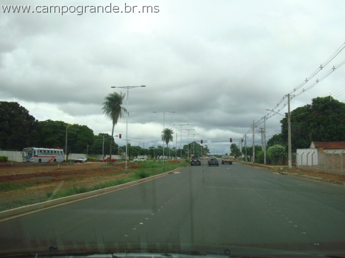 w.pantanal.br.ms-47.jpg