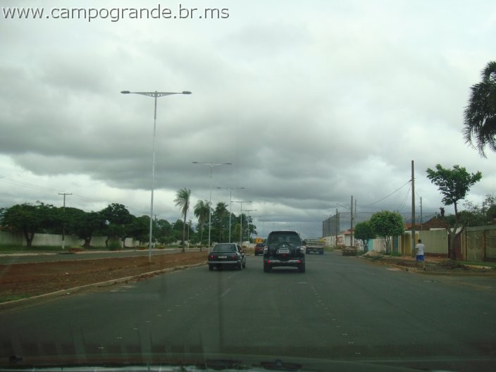 w.pantanal.br.ms-48.jpg