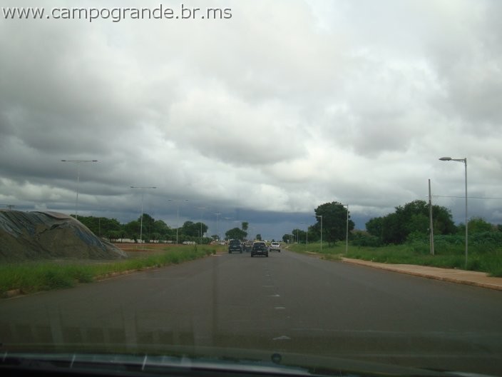 w.pantanal.br.ms-49.jpg