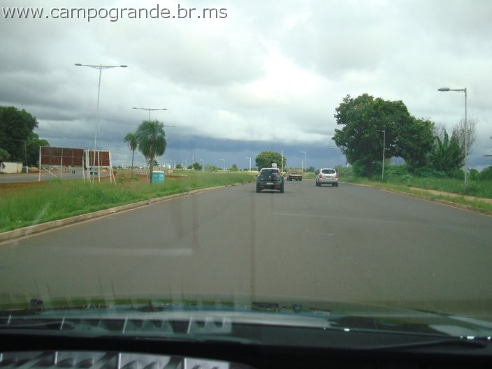 w.pantanal.br.ms-51.jpg