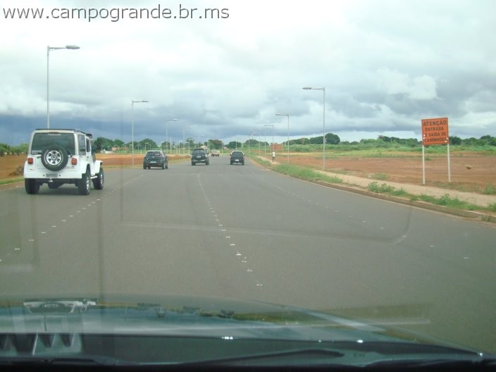 w.pantanal.br.ms-55.jpg