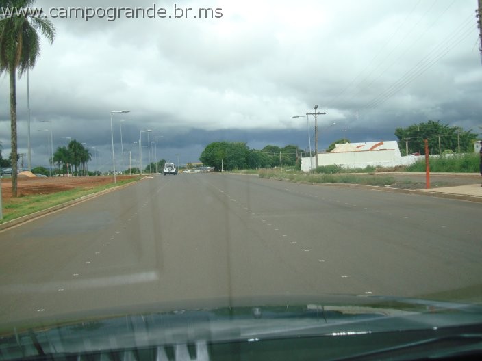 w.pantanal.br.ms-59.jpg