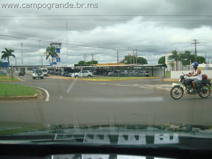 w.pantanal.br.ms-62.jpg