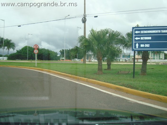 w.pantanal.br.ms-67.jpg