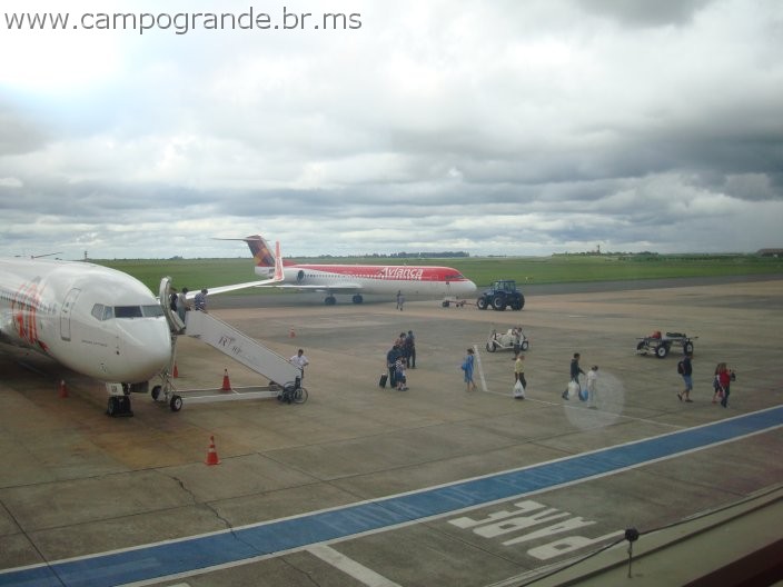 w.pantanal.br.ms-79.jpg