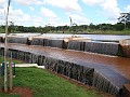 w.pantanal.br.ms-10