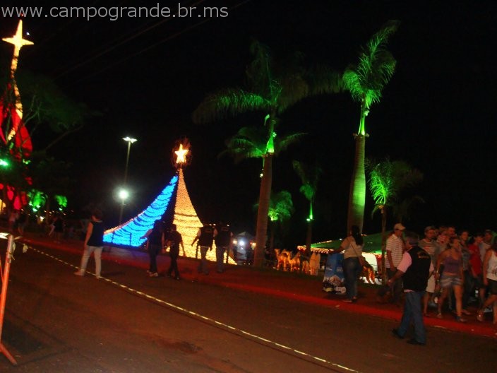 w.pantanal.br.ms-111.jpg