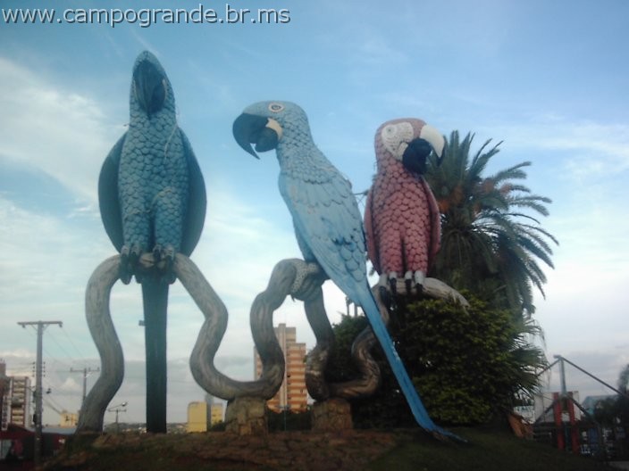 w.pantanal.br.ms-28.jpg