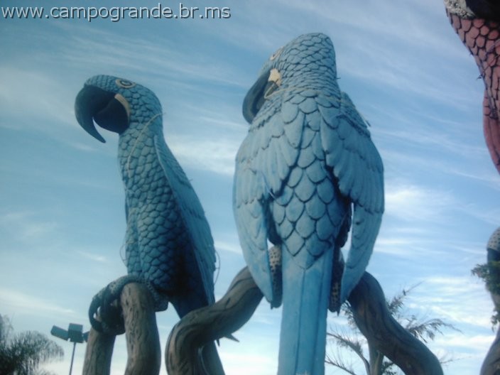 w.pantanal.br.ms-32.jpg