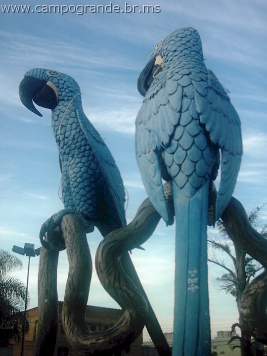 w.pantanal.br.ms-33.jpg
