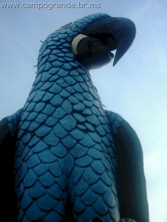 w.pantanal.br.ms-37.jpg