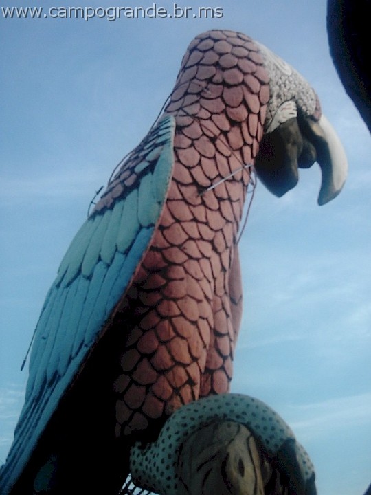 w.pantanal.br.ms-38.jpg