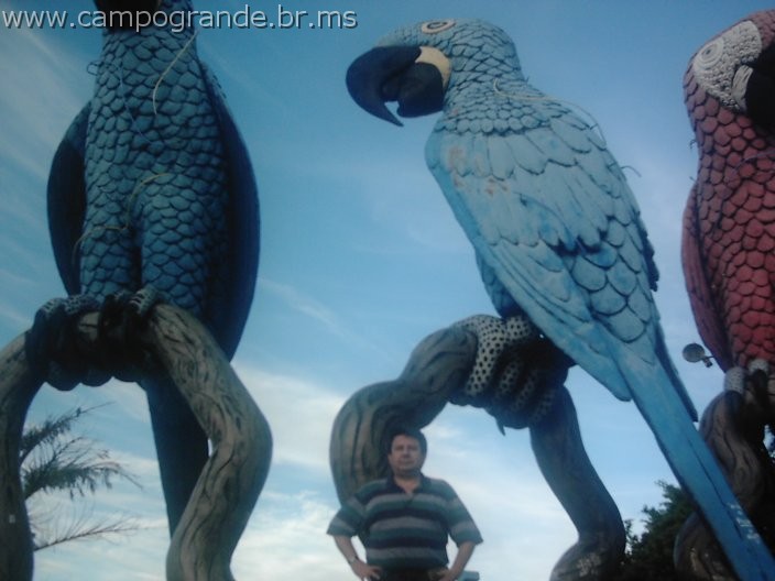 w.pantanal.br.ms-40.jpg