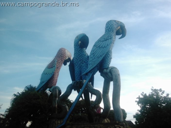 w.pantanal.br.ms-42.jpg