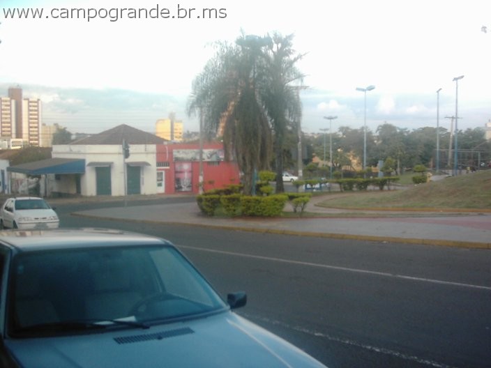 w.pantanal.br.ms-50.jpg
