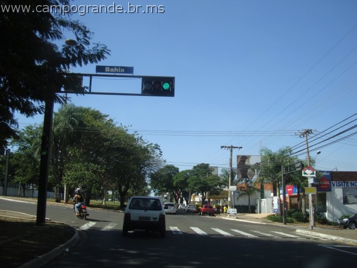 w.pantanal.br.ms-101.jpg