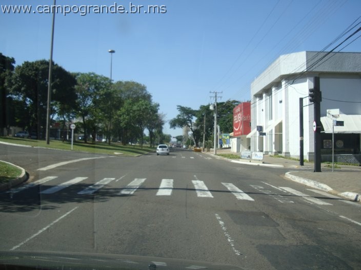 w.pantanal.br.ms-102.jpg