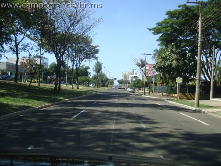 w.pantanal.br.ms-103.jpg