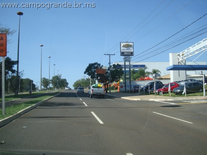 w.pantanal.br.ms-118.jpg