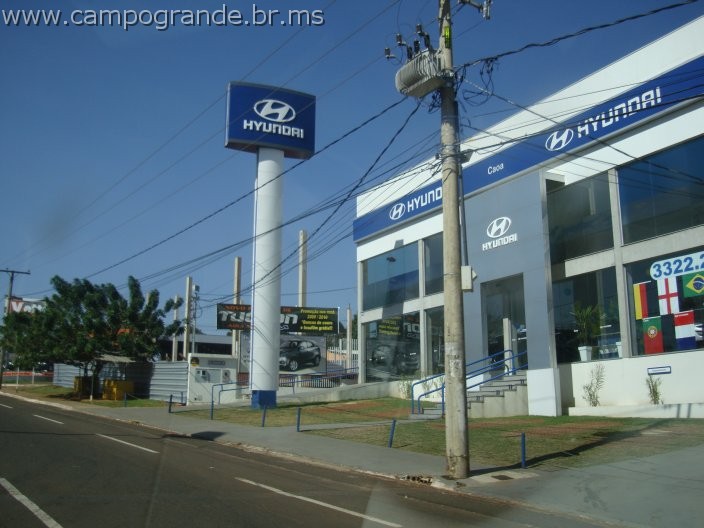 w.pantanal.br.ms-119.jpg