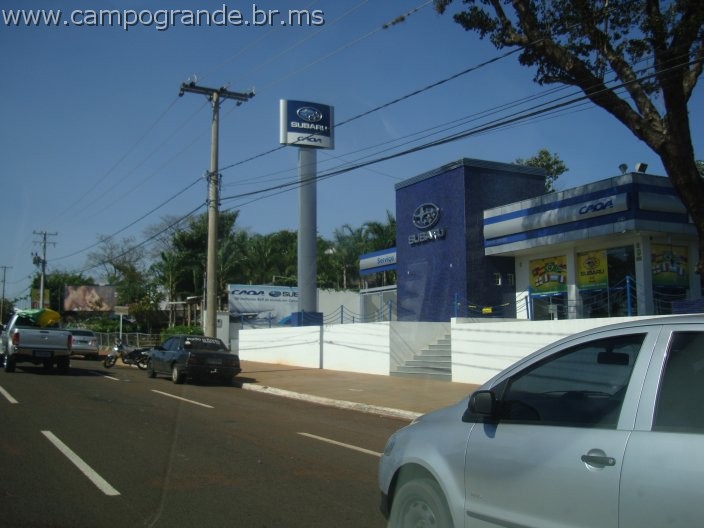 w.pantanal.br.ms-120.jpg