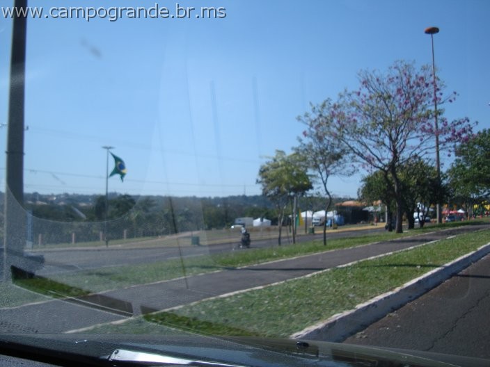 w.pantanal.br.ms-124.jpg