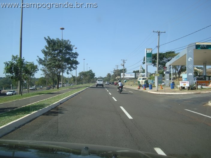 w.pantanal.br.ms-128.jpg