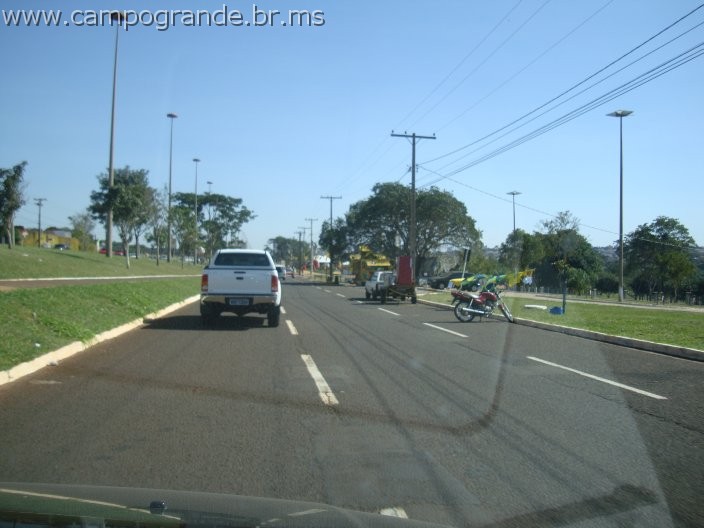 w.pantanal.br.ms-129.jpg