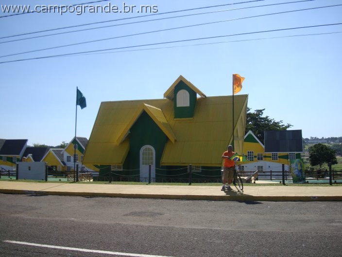 w.pantanal.br.ms-133.jpg