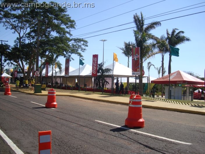 w.pantanal.br.ms-139.jpg