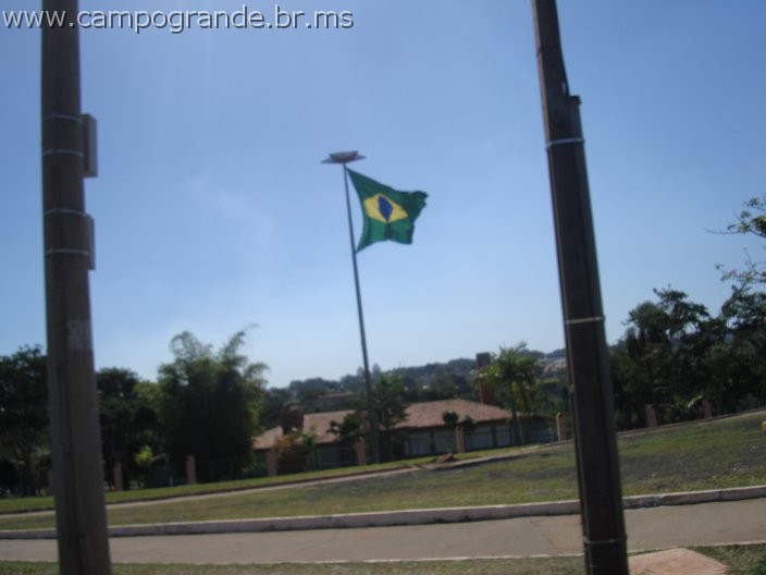 w.pantanal.br.ms-145.jpg