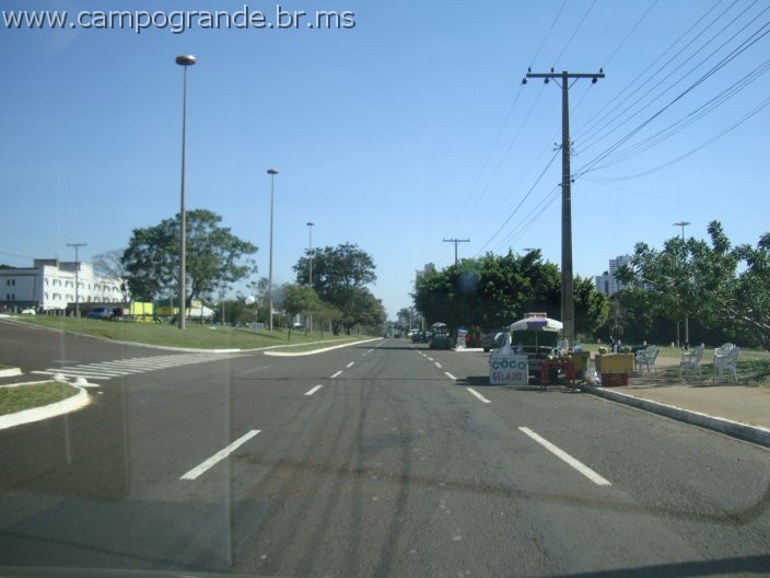 w.pantanal.br.ms-149.jpg
