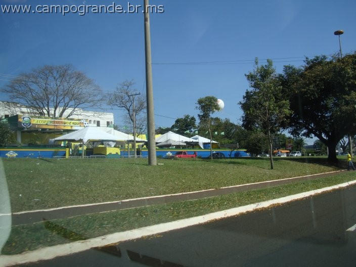 w.pantanal.br.ms-150.jpg