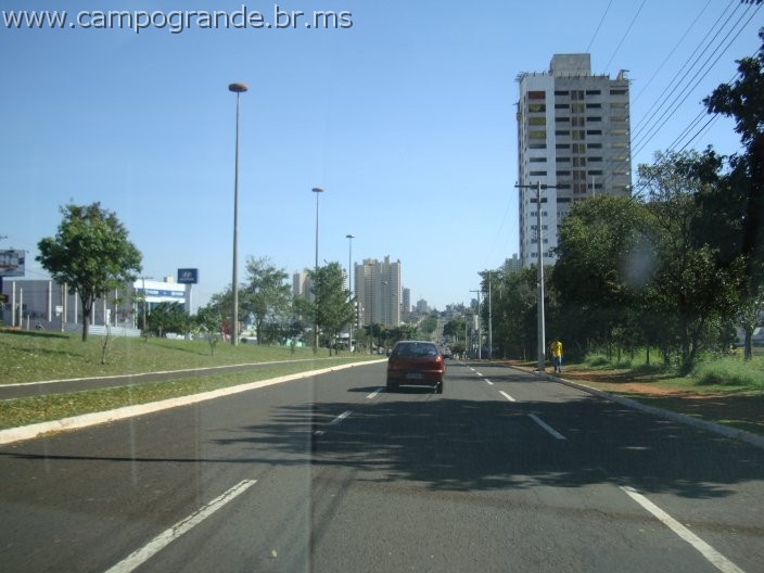 w.pantanal.br.ms-153.jpg