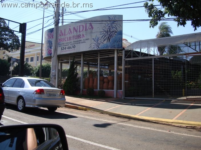 w.pantanal.br.ms-16.jpg