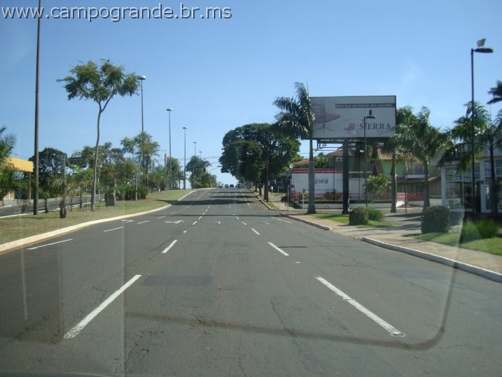 w.pantanal.br.ms-165.jpg