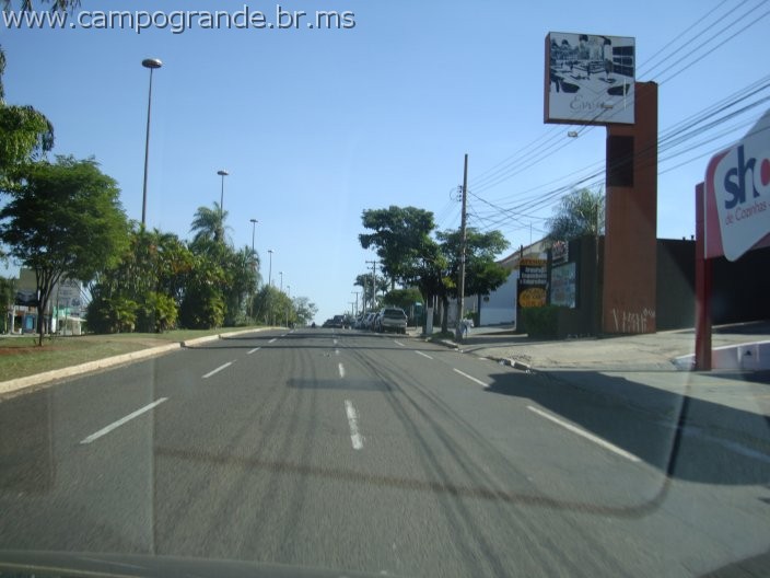 w.pantanal.br.ms-166.jpg