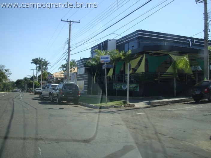w.pantanal.br.ms-167.jpg